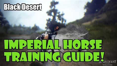 black desert horse training guide